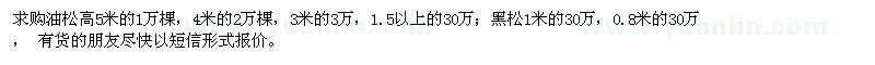 求購油松、黑松