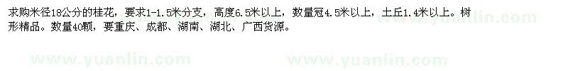求購米徑18公分的桂花