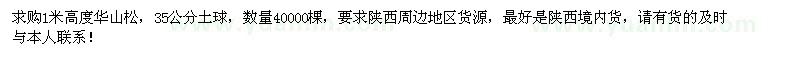 求購(gòu)1米高度華山松