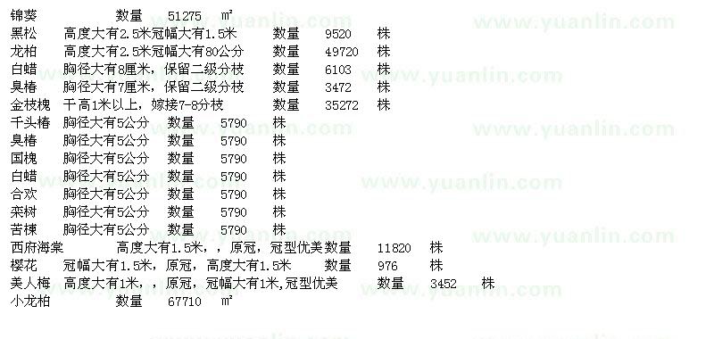 求購(gòu)黑松、龍柏、白蠟、臭椿等