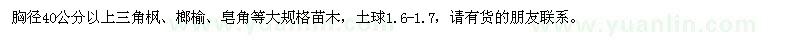 求購胸徑40公分以上三角楓、榔榆、皂角等