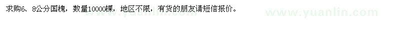 求購(gòu)6、8公分國(guó)槐10000棵