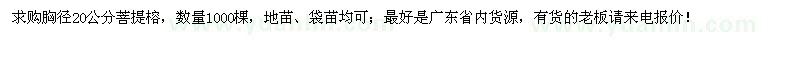 求購胸徑20公分菩提榕1000棵