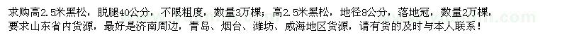 求購高2.5米黑松5萬棵
