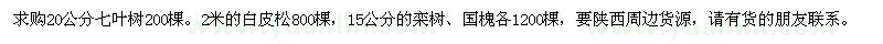 求購(gòu)七葉樹、白皮松、欒樹、國(guó)槐