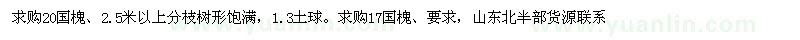 求購(gòu)20公分國(guó)槐17公分國(guó)槐