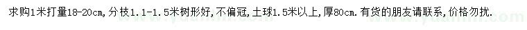 求購(gòu)1米量18-20公分四季桂