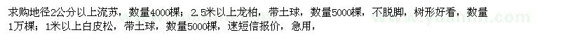 求購(gòu)流蘇、白皮松