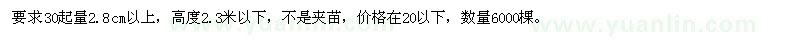 求購紅豆杉3公分