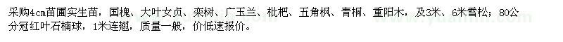 求購(gòu)國(guó)槐,大葉女貞,欒樹,紅葉石楠球