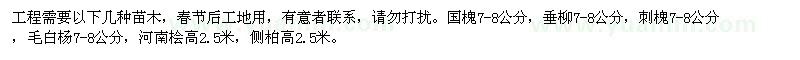 求購國槐 垂柳 刺槐