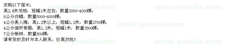 求購(gòu)龍柏、白蠟、美人梅、獨(dú)桿紫薇、楸樹