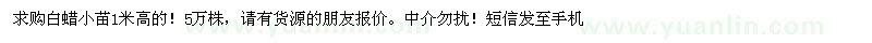 求購白蠟小苗1米高的 5萬株