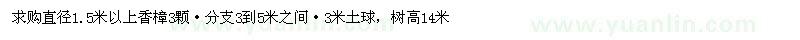 求購直徑1.5米以上香樟3顆 分支3到5米之間