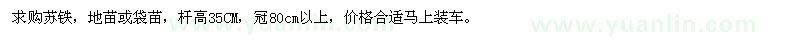 求購(gòu)桿高35CM蘇鐵