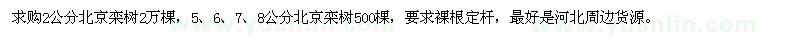 求購北京欒樹25000棵