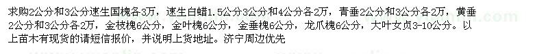 求購速生國槐、速生白蠟、青垂、黃垂、金枝槐等苗木