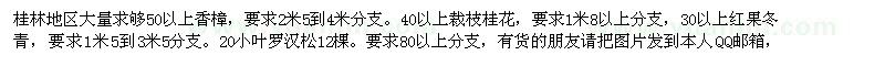 求購50以上香樟，裁枝桂花 紅果冬青