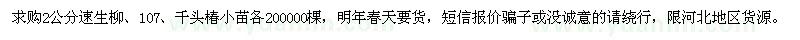求購2公分速生柳、107、千頭椿小苗