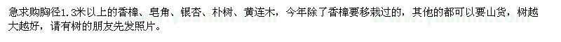 求購香樟,皂角,銀杏,樸樹,黃連木