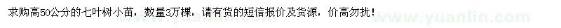 求購(gòu)高50公分七葉樹小苗3萬(wàn)棵