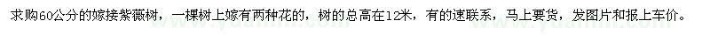 求購60公分的嫁接紫薇樹