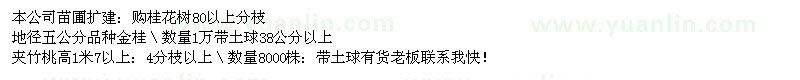 求購桂花、夾竹挑 