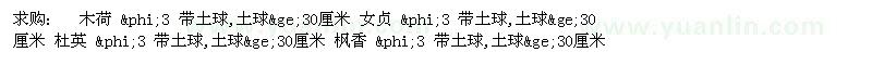 求購(gòu)木荷、女貞、杜英、楓香 