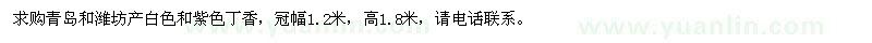 求購(gòu)白色丁香、紫色丁香 
