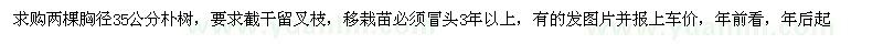 求購(gòu)樸樹(shù)胸徑35公分兩棵 