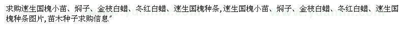 求購速生國(guó)槐小苗、燜子、金枝白蠟、冬紅白蠟、速生國(guó)槐種條 -  