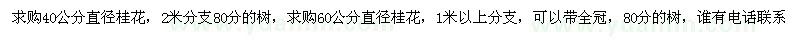 求購桂花