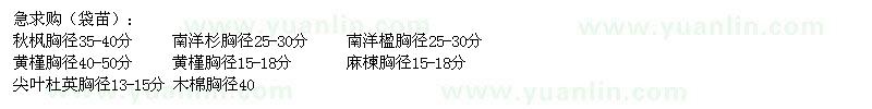 求購(gòu)秋楓,黃槿,尖葉杜英,菩提樹(shù),芒果