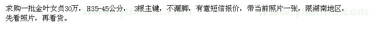 求購金葉女貞