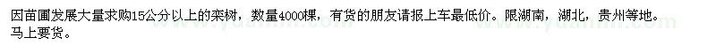 求購野生欒樹