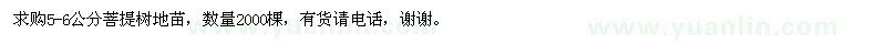 求購菩提樹地苗5-6公分 