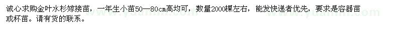 求購金葉水杉嫁接苗（容器苗）