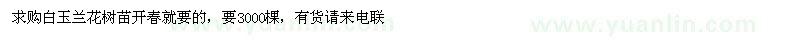 求購白玉蘭花樹苗