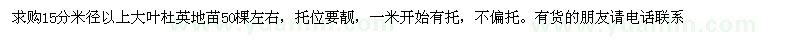 求購(gòu)大葉杜英地苗