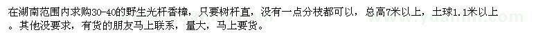 求購(gòu)野生香樟