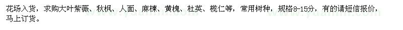 求購大葉紫薇、秋楓、麻楝、黃槐、杜英