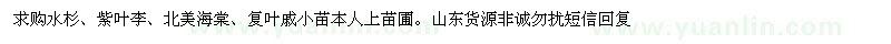 求購(gòu)水杉、北美海棠、復(fù)葉戚小苗