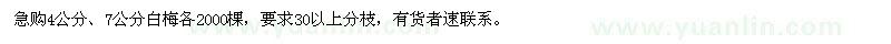 求購白梅