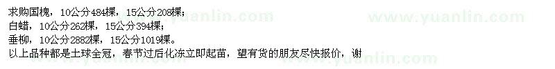 求購國槐、白蠟、垂柳