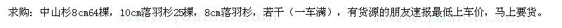 求購落羽杉、中山杉