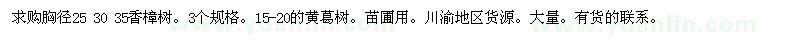 求購25 30 35香樟樹。