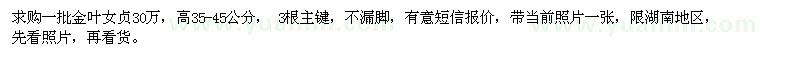 求購高35-45公分金葉女貞