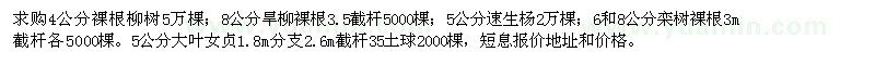 求購(gòu)柳樹、速生楊、大葉女貞、欒樹