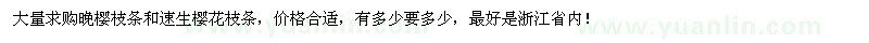 求購(gòu)大量晚櫻枝條和速生櫻花枝條