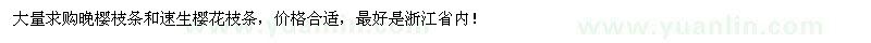 求購大量晚櫻枝條和速生櫻花枝條